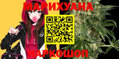 крисы Будённовск