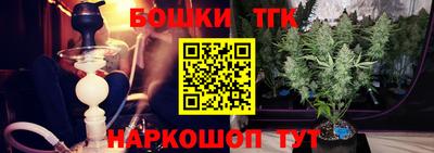 крисы Будённовск